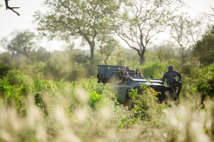 A group of people on a safari ride in an open-top vehicle, surrounded by lush green foliage and tall trees under a bright sky. The scene conveys a sense of adventure and exploration in a natural setting.