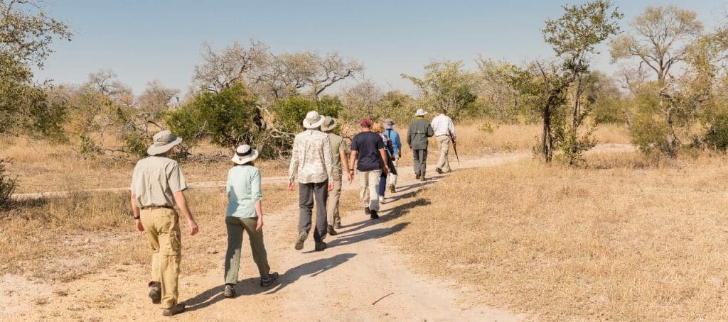 A group of people wearing hats and casual clothing walk in a line along a dirt path in a dry, sparsely vegetated landscape under a clear blue sky.