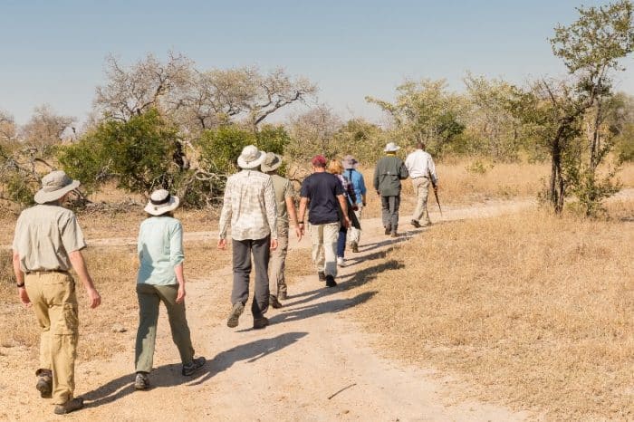 A group of people wearing hats and casual clothing walk in a line along a dirt path in a dry, sparsely vegetated landscape under a clear blue sky.