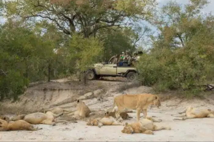 Sabi Sands