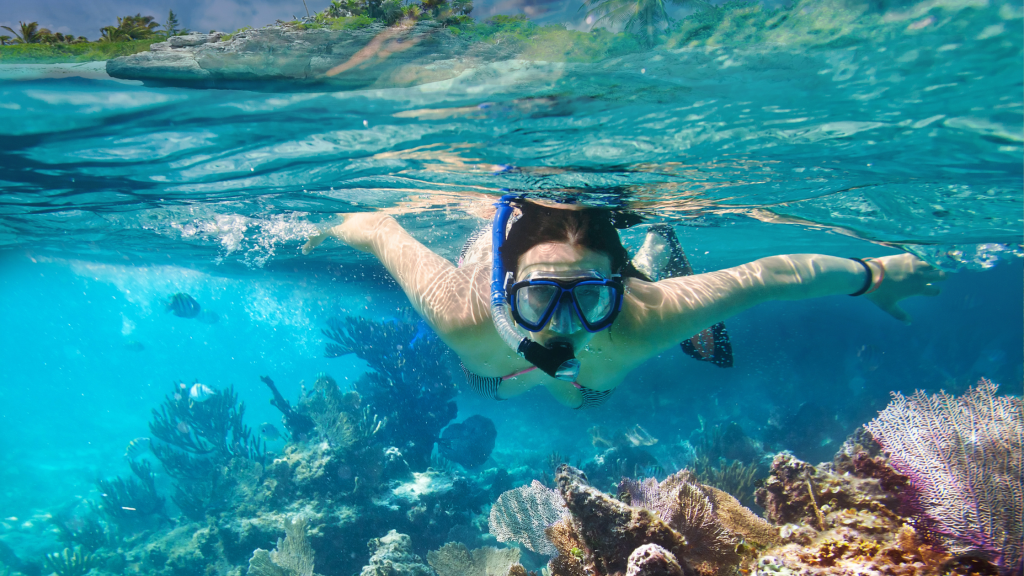 A person snorkeling in clear turquoise water above a vibrant coral reef. The snorkeler is wearing a mask and snorkel and is leisurely swimming, surrounded by various corals and marine life. Sunlight filters through the water, creating shimmering patterns.