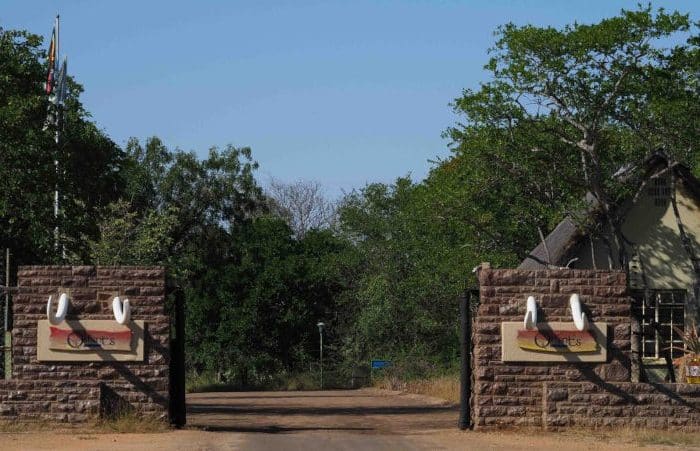 A rustic entrance with stone pillars and signs featuring tusks on either side of an open road, surrounded by lush green trees under a clear blue sky. An A-frame building is visible on the right side.