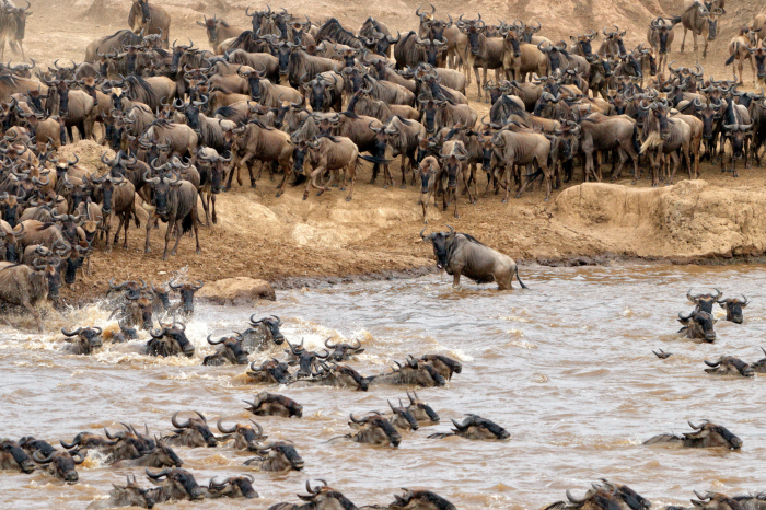 3 Day Maasai Mara Safari from Nairobi