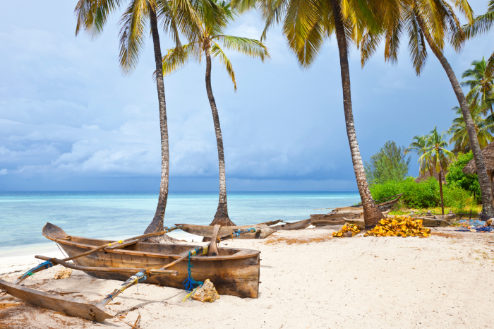 8 Day Zanzibar Beach and Serengeti Safari Tour Package