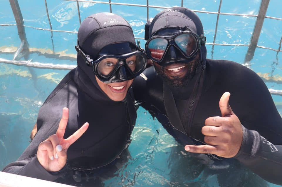 Shark Diving