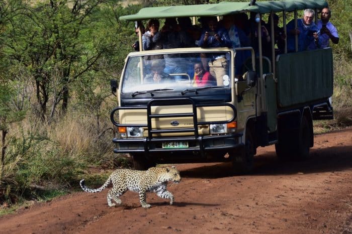 5 Day Sun City & Pilanesberg Grand Tour with Hot Air Balloon Option