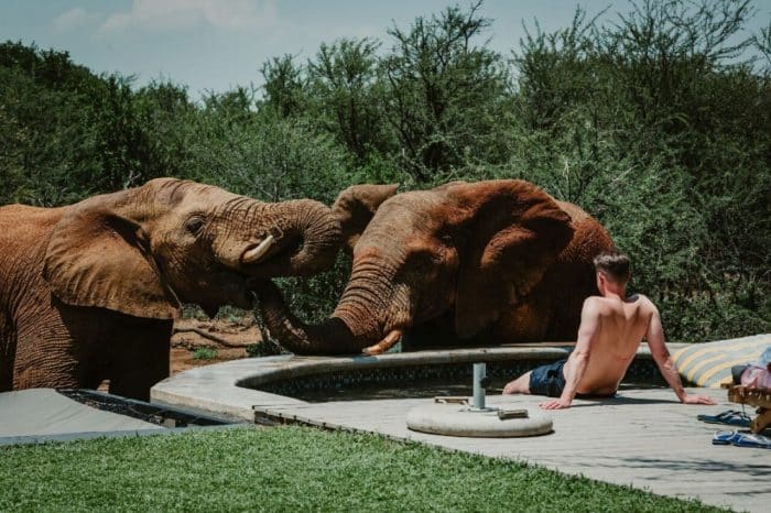 4 Day Exclusive Mbazo Safari Lodge Experience from Johannesburg