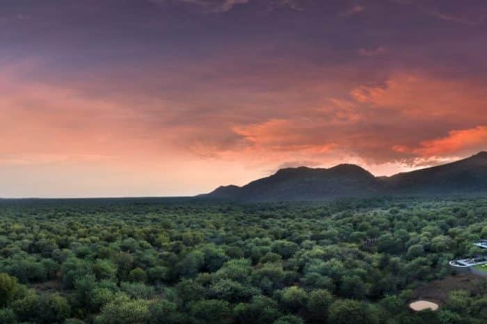 4 Day Exclusive Mbazo Safari Lodge Experience from Johannesburg
