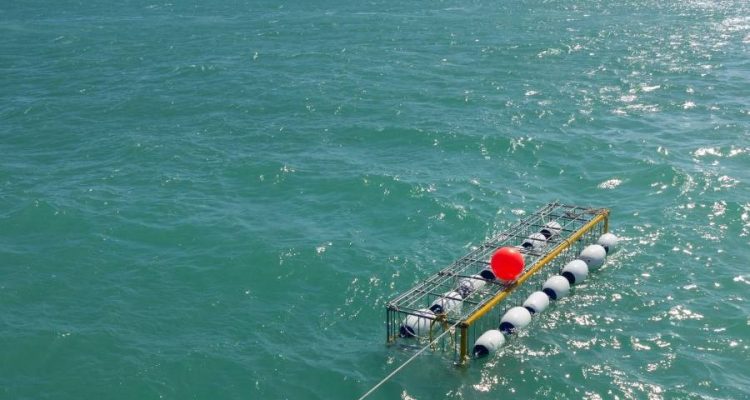 Shark Diving Cage at Gansbaai South Africa