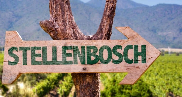 A wooden arrow-shaped sign reads STELLENBOSCH in green letters. It's attached to a tree branch with vineyards in the background, creating a stunning 15-day itinerary vista akin to the landscapes seen on the way to Johannesburg or Kruger, framed by majestic mountains and a clear sky.