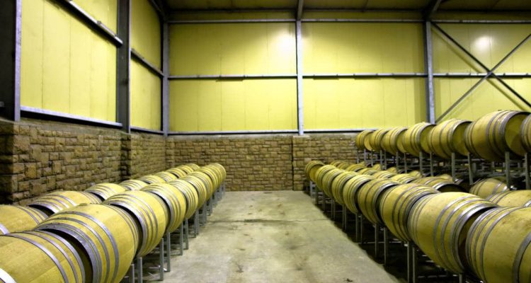 A wine cellar with two rows of wooden barrels lined up on metal racks. The room has brick walls and a high ceiling, with soft overhead lighting.