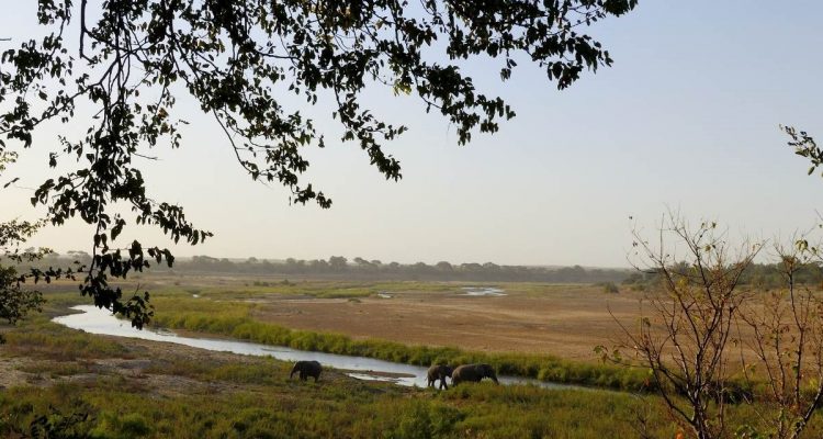 kruger National Park